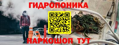 сатива Бердск