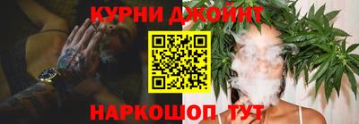 сатива Бердск