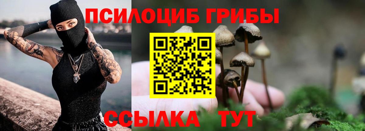 Псилоцибиновые грибы Magic Shrooms  Вход с VPN  Ессентуки 